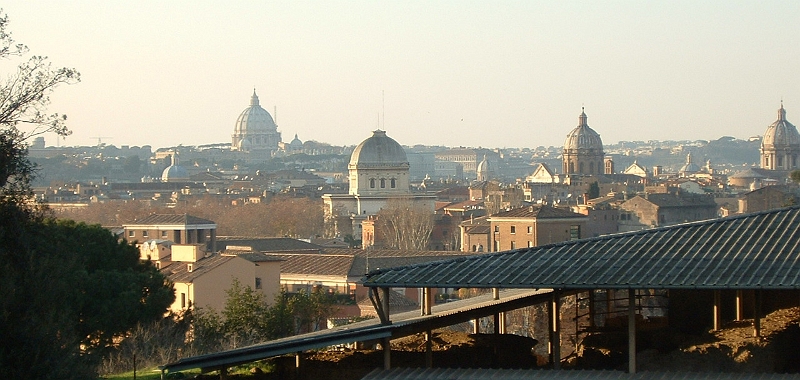 St Peters from Palatine Hill.jpg